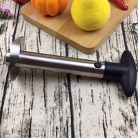 Kitchen Gadget Stainless Steel Pineapple Cutter Coreer with Removable Handle